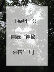 福州一公园藏“神秘来客”！