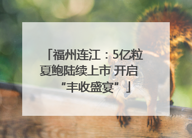 福州连江：5亿粒夏鲍陆续上市 开启“丰收盛宴”