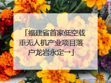 福建省首家低空载重无人机产业项目落户龙岩永定→