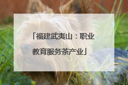 福建武夷山：职业教育服务茶产业