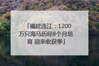 福建连江：1200万只海马历经8个月培育 迎来收获季