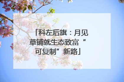 科左后旗：月见草铺就生态致富“可复制”新路