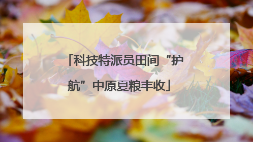 科技特派员田间“护航”中原夏粮丰收