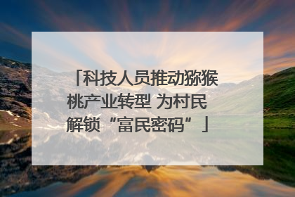 科技人员推动猕猴桃产业转型 为村民解锁“富民密码”