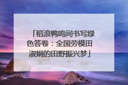 稻浪鸭鸣间书写绿色答卷：全国劳模田淑娴的田野振兴梦