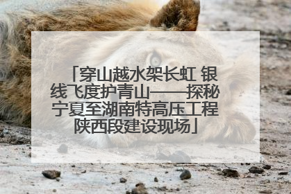 穿山越水架长虹 银线飞度护青山——探秘宁夏至湖南特高压工程陕西段建设现场