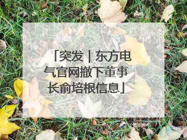 突发｜东方电气官网撤下董事长俞培根信息