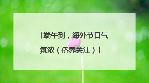 端午到，海外节日气氛浓（侨界关注）