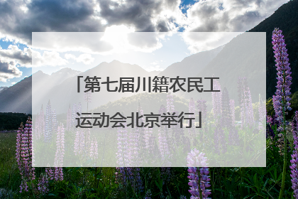 第七届川籍农民工运动会北京举行
