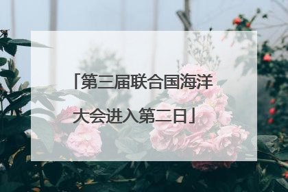 第三届联合国海洋大会进入第二日