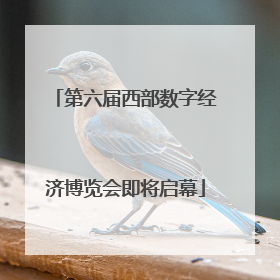 第六届西部数字经济博览会即将启幕