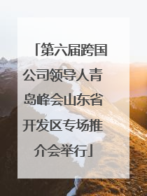 第六届跨国公司领导人青岛峰会山东省开发区专场推介会举行
