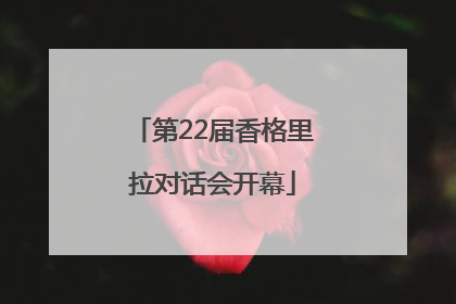 第22届香格里拉对话会开幕