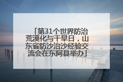 第31个世界防治荒漠化与干旱日，山东省防沙治沙经验交流会在东阿县举办