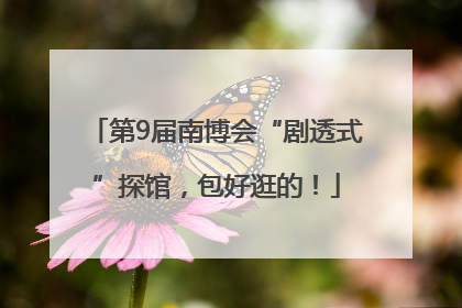 第9届南博会“剧透式”探馆，包好逛的！