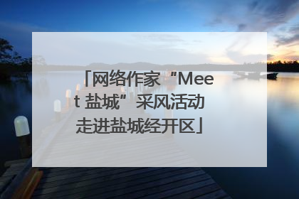 网络作家“Meet 盐城”采风活动走进盐城经开区