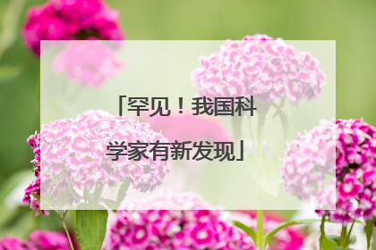 罕见！我国科学家有新发现
