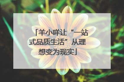 羊小咩让“一站式品质生活”从理想变为现实