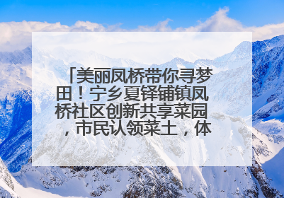 美丽凤桥带你寻梦田！宁乡夏铎铺镇凤桥社区创新共享菜园，市民认领菜土，体验耕种收获乐趣