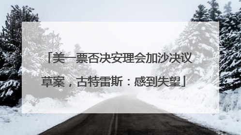 美一票否决安理会加沙决议草案，古特雷斯：感到失望