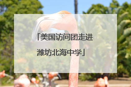 美国访问团走进潍坊北海中学