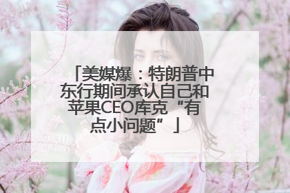 美媒爆：特朗普中东行期间承认自己和苹果CEO库克“有点小问题”