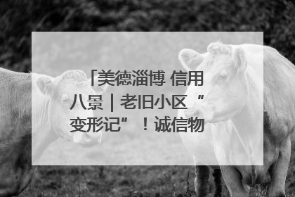 美德淄博 信用八景｜老旧小区“变形记”！诚信物业焐热居民心窝