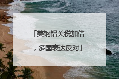 美钢铝关税加倍，多国表达反对