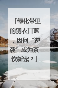 绿化带里的羽衣甘蓝，因何“逆袭”成为茶饮新宠？