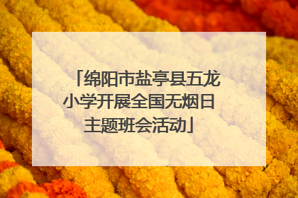绵阳市盐亭县五龙小学开展全国无烟日主题班会活动
