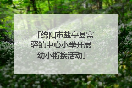 绵阳市盐亭县富驿镇中心小学开展幼小衔接活动