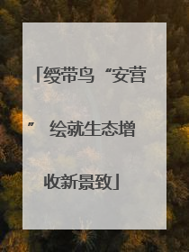 绶带鸟“安营” 绘就生态增收新景致