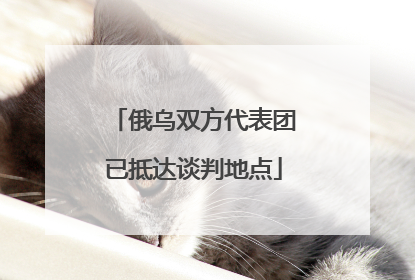俄乌双方代表团已抵达谈判地点