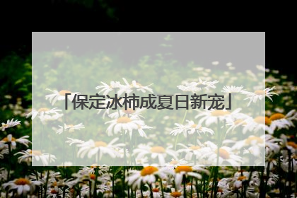 保定冰柿成夏日新宠