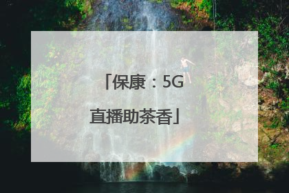 保康：5G直播助茶香