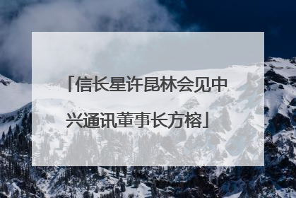 信长星许昆林会见中兴通讯董事长方榕