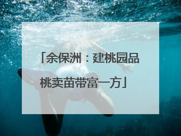 余保洲：建桃园品桃卖苗带富一方
