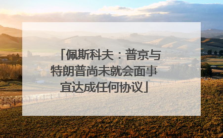 佩斯科夫：普京与特朗普尚未就会面事宜达成任何协议