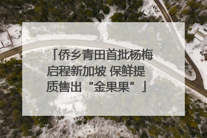 侨乡青田首批杨梅启程新加坡 保鲜提质售出“金果果”