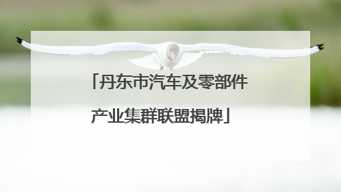丹东市汽车及零部件产业集群联盟揭牌