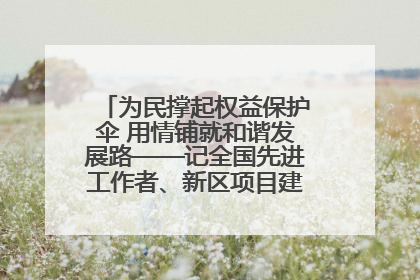 为民撑起权益保护伞 用情铺就和谐发展路——记全国先进工作者、新区项目建设中心干部卢小勇