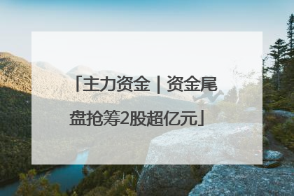 主力资金｜资金尾盘抢筹2股超亿元