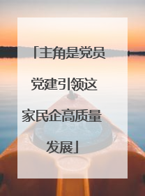 主角是党员 党建引领这家民企高质量发展