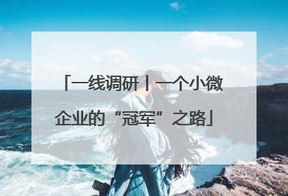 一线调研丨一个小微企业的“冠军”之路