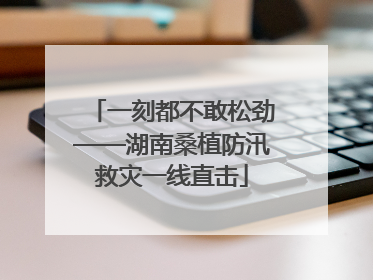 一刻都不敢松劲——湖南桑植防汛救灾一线直击
