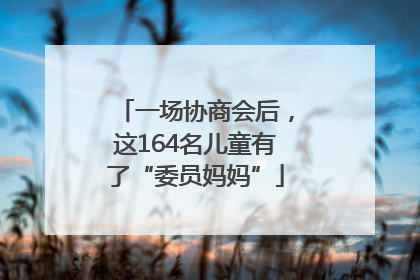 一场协商会后，这164名儿童有了“委员妈妈”
