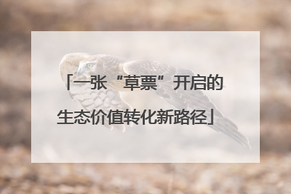 一张“草票”开启的生态价值转化新路径