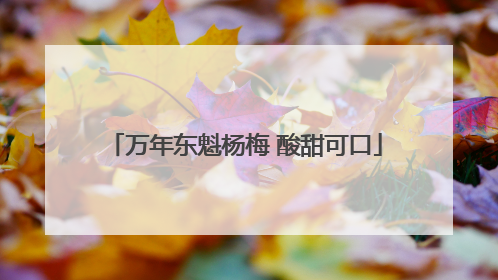 万年东魁杨梅 酸甜可口