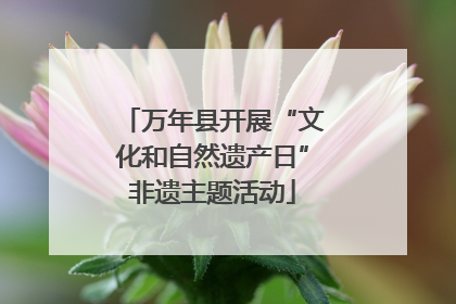 万年县开展“文化和自然遗产日”非遗主题活动
