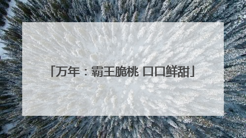 万年：霸王脆桃 口口鲜甜